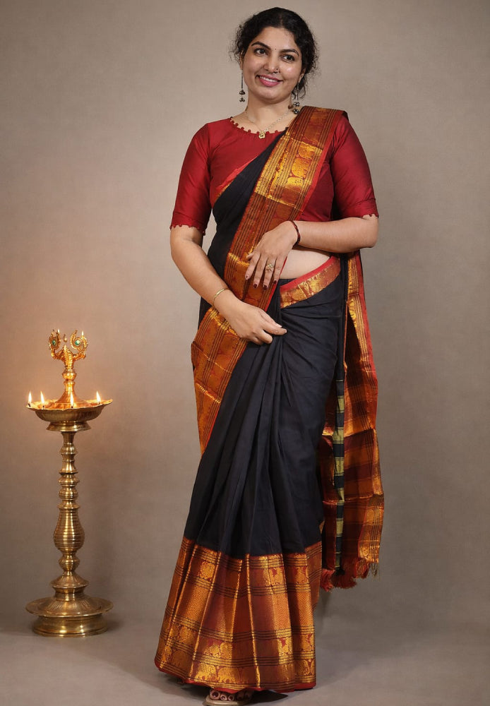 Silk boarder Narayan patt saree
