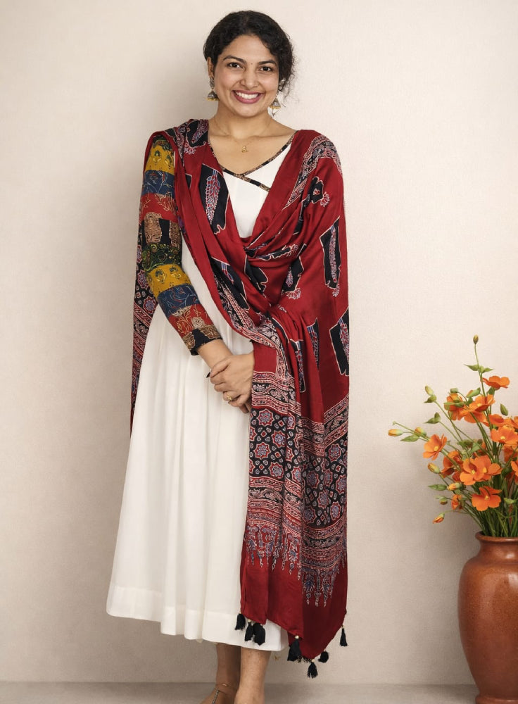 Panelled Anarkali with ajrakh modal dupatta